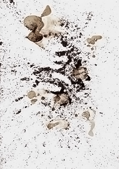 coffee residue